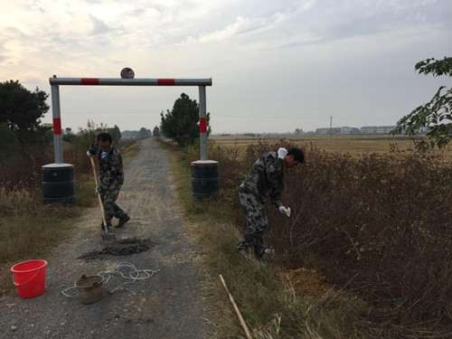 维养中心加强渠堤公路管护保安全