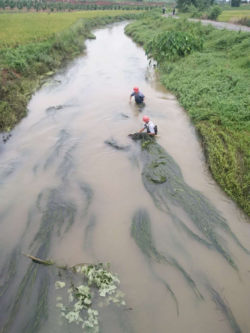 渠畅水清，只因有人替你负重前行