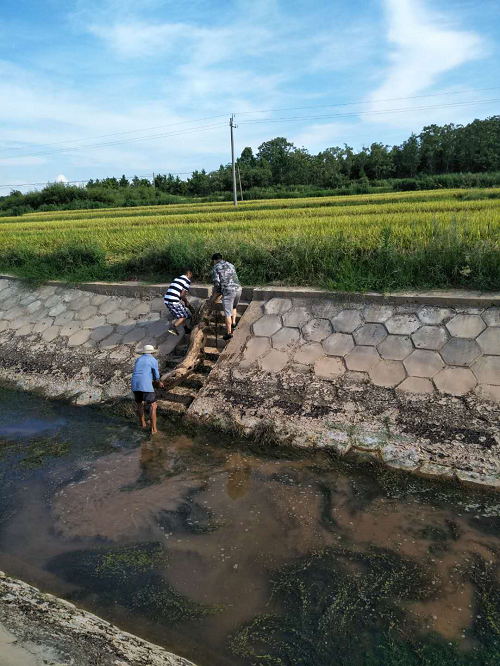 渠畅水清，只因有人替你负重前行