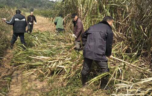 第四管理段积极落实一季度绩效考核整改要求