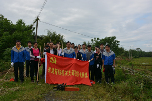 汇聚青春力量，提升党建水平