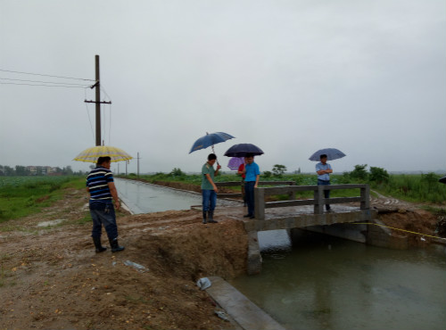 省袁管局：有效组织应对灌区强降雨天气