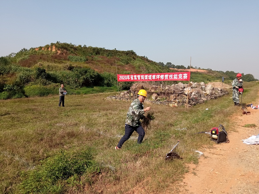 岗位练兵促提升，技能比拼展风采—省袁管局举办渠堤草坪修剪技能竞赛