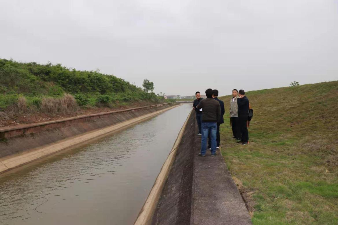 省水利厅调研袁惠渠灌区渠道护坡形式