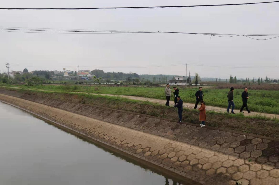 省水利厅调研袁惠渠灌区渠道护坡形式