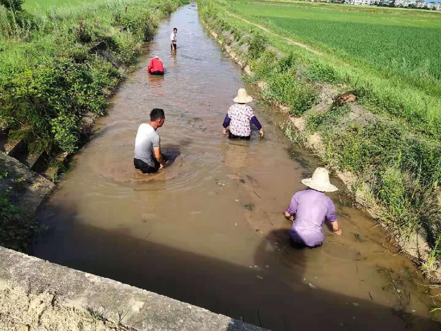 省袁管局不惧“烤”验 全力抗旱保灌溉