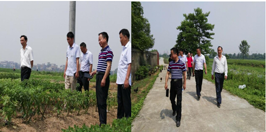 省袁管局召开多种经营调度会