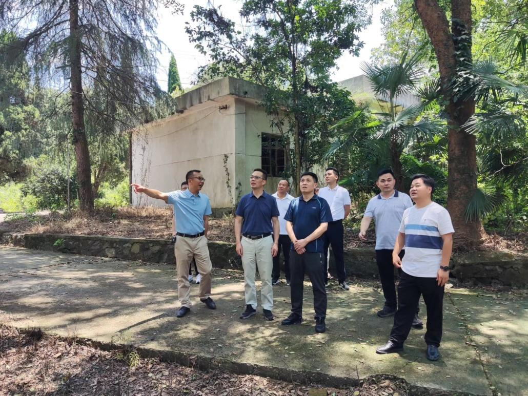 厅平安建设工作检查组到省袁管局检查2022上半年平安建设工作