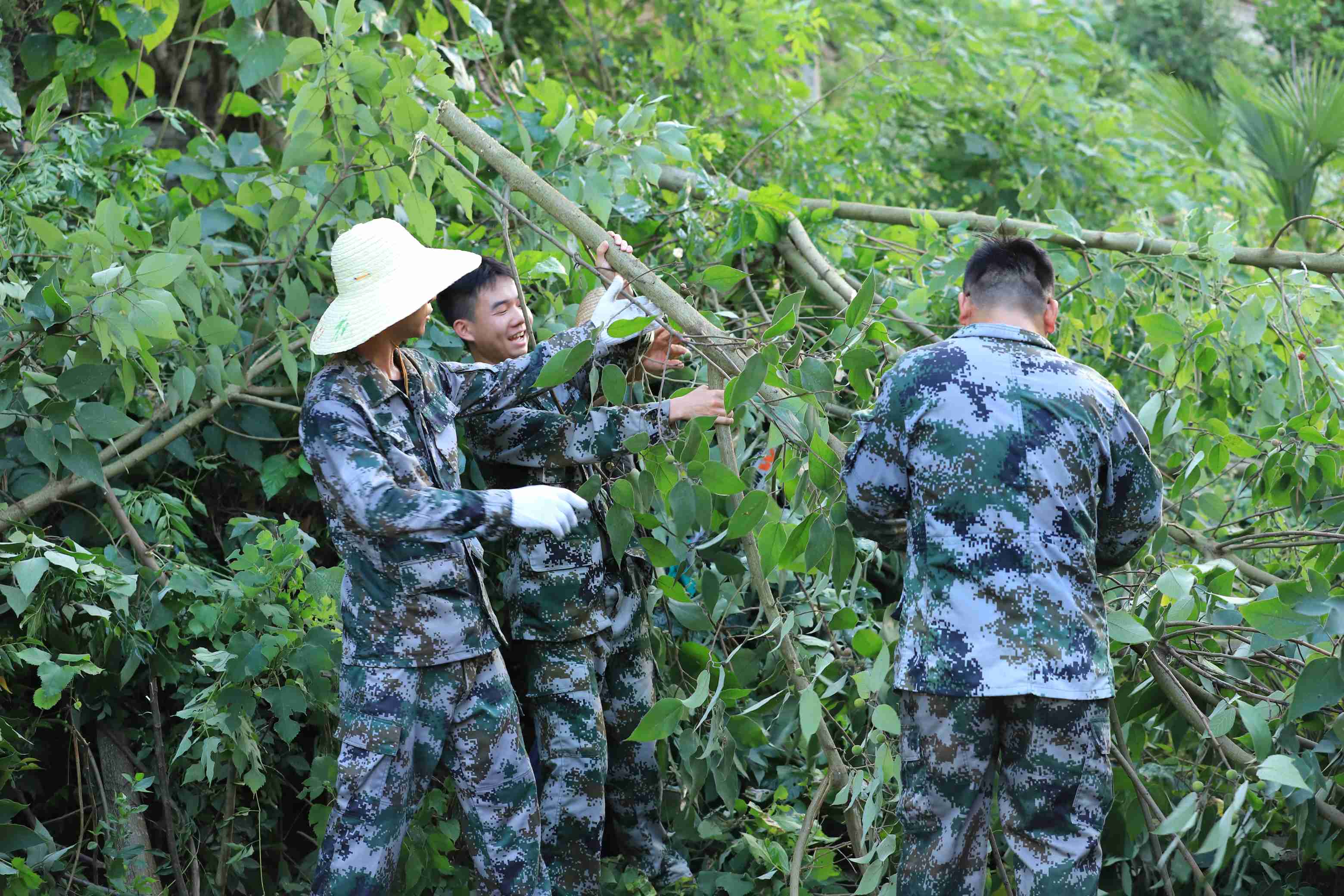 夏灌抗旱正当时  渠水润物细无声