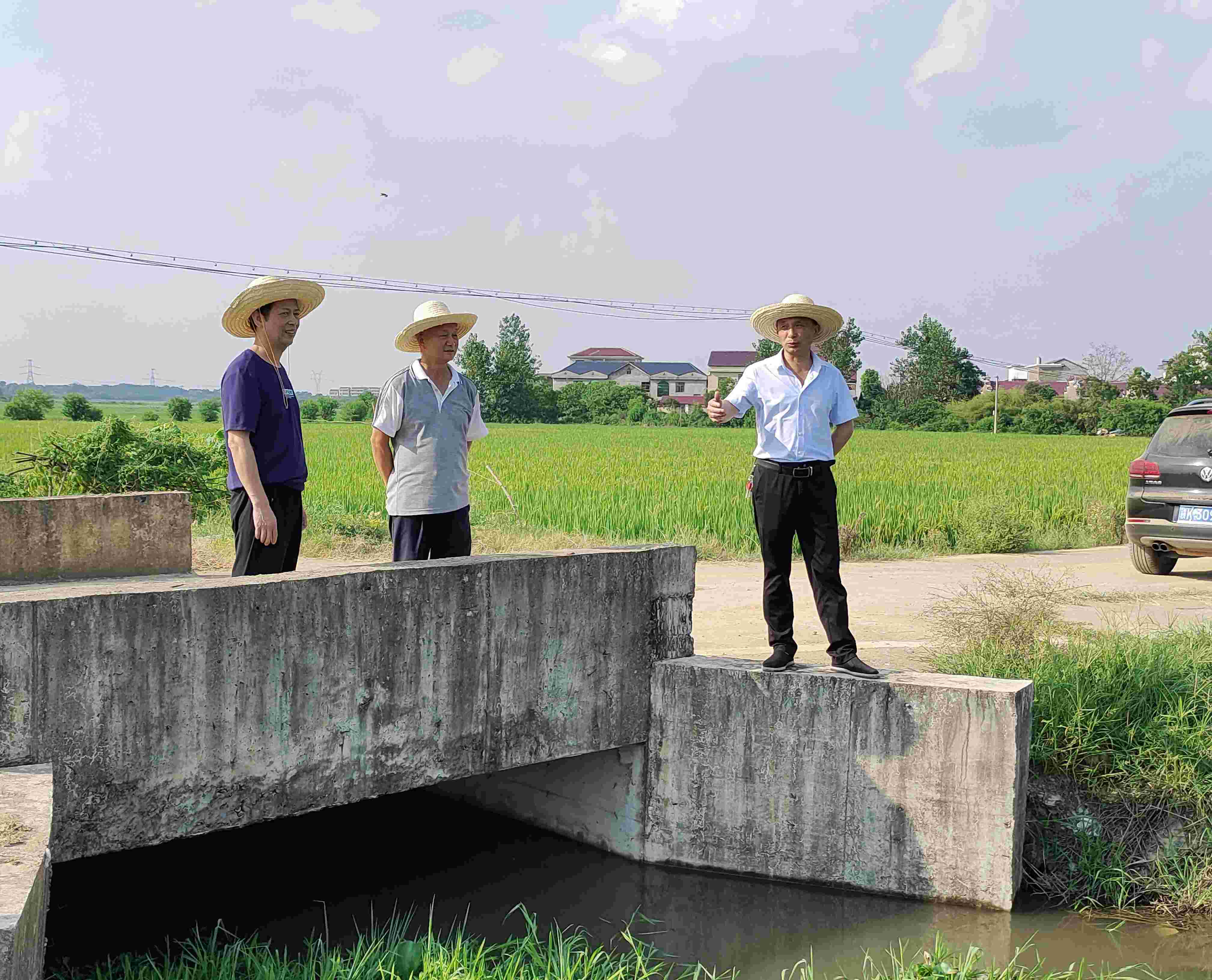 夏灌抗旱正当时  渠水润物细无声