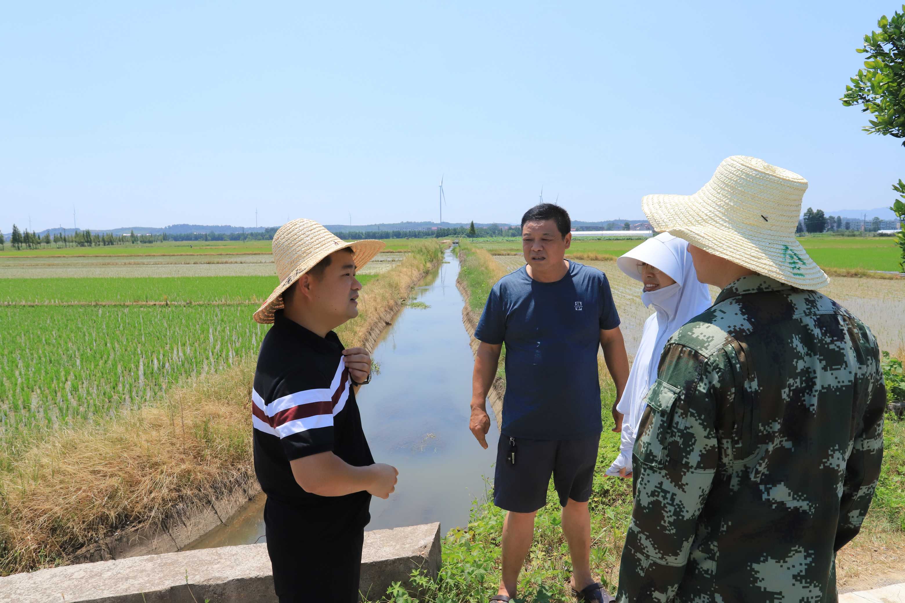 夏灌抗旱正当时  渠水润物细无声
