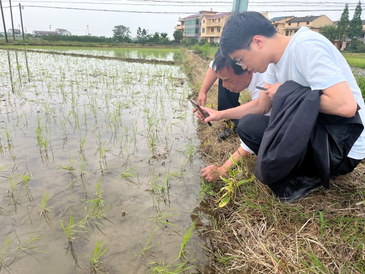 省袁管局扎实推进农田灌溉水有效利用系数测算分析工作