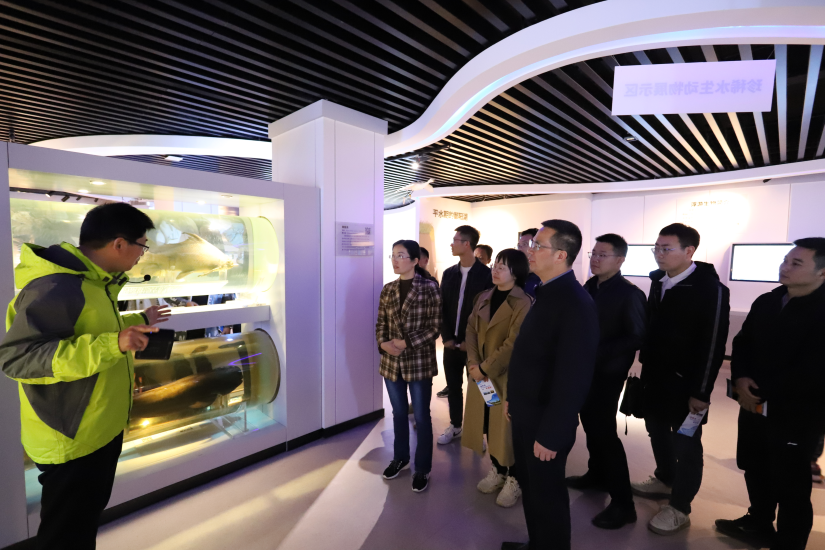 联学共建 共话发展——省袁管局2023年第一期青年理论学习小组走进鄱阳湖 联学共建 共话发展——省袁管局2023年第一期青年理论学习小组走进鄱阳湖