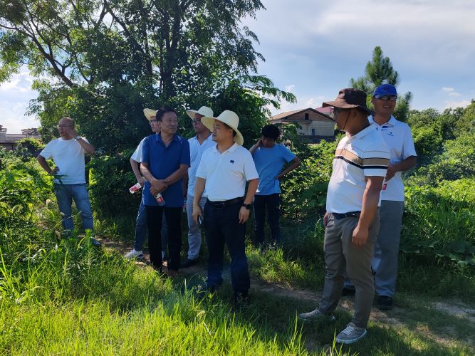 省袁管局组织召开袁惠渠灌区续建配套与现代化改造项目（2023年度）施工协调会
