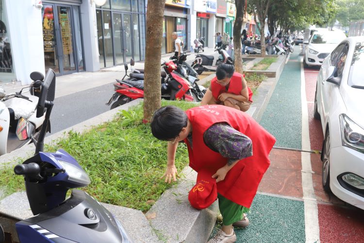 卫生整治同发力 共建美好新余城 —省袁管局协助属地开展国家卫生城市专项整治行动 卫生整治同发力 共建美好新余城 —省袁管局协助属地开展国家卫生城市专项整治行动