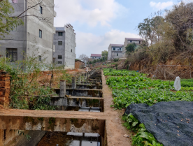 暖心为民办实事  服务地方见真情 ——省袁管局筑牢防溺水“安全墙”，助力乡村振兴