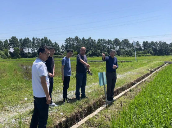 省袁管局开展农田灌溉水有效利用系数测算分析工作监督指导